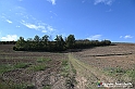 VBS_5271 - La solita strada... il grano da crescere, i campi da arare...